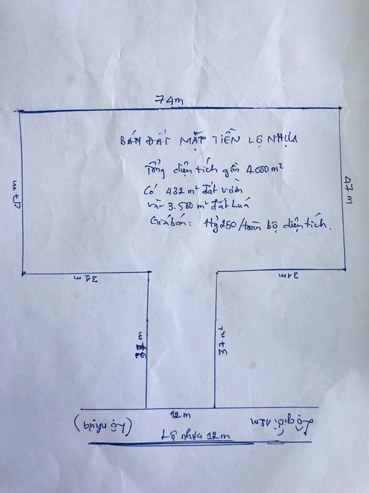 Bán gần 4.000m² đất mặt tiền lộ nhựa xã Bình Thành, Phụng Hiệp, Hậu Giang