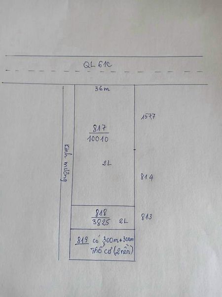 Bán 14 công, mặt tiền ngang 36m, mặt tiền QL61C.