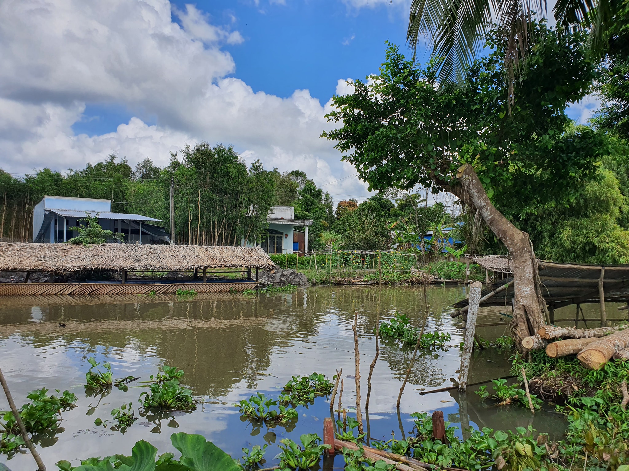 Bán đất rẻ như cho tặng