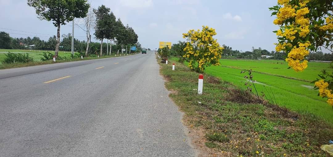 Giờ tìm miếng đất nhỏ, gọn, vị trí tốt, gần khu công nghiệp, gần ngã 4 thì càng hiếm hơn